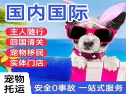 陇南成县空运地址国际宠物托运 【国
